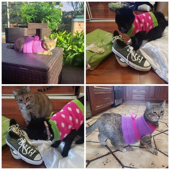 Meet your Posher, Salesia - Picture 11 of 16